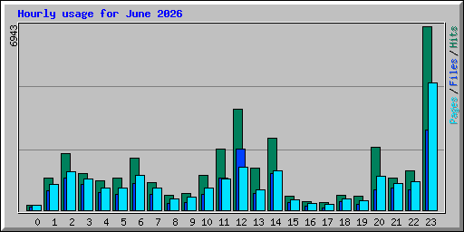 Hourly usage for June 2026