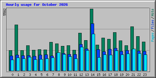 Hourly usage for October 2026